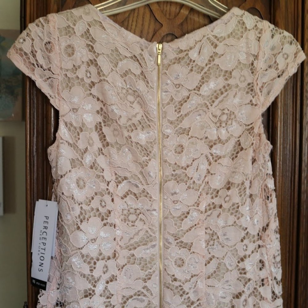 PERCEPTIONS New York Blush Nude Lace Sheath Dress - NWT! - Picture 7 of 16